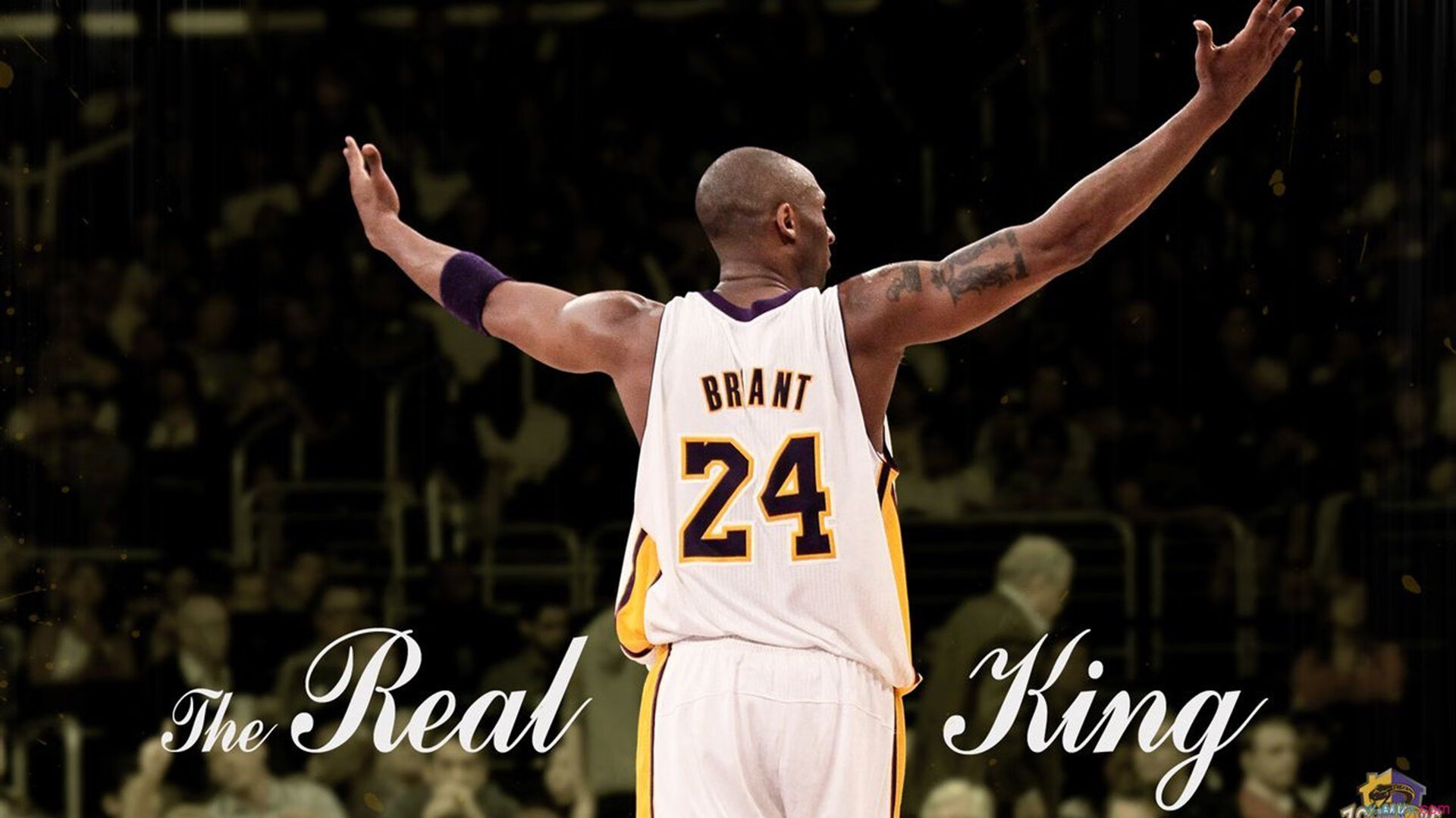 开云体育平台-跨界合作:NBA携手娱乐、科技共绘未来篮球蓝图,被篮球耽误的跨界选手